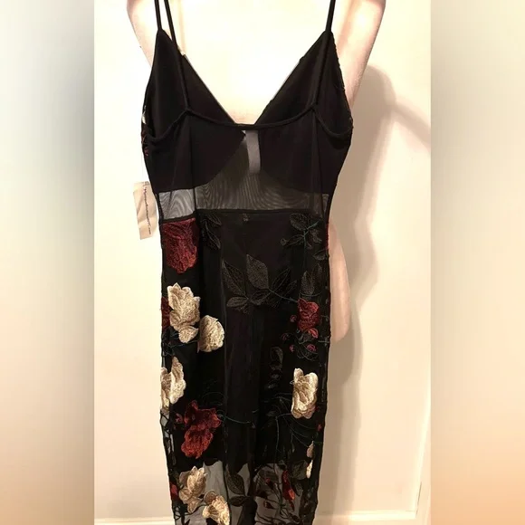 NWT Beautiful Blue Blush Dress with Red and White Floral Details - Picture 12 of 15